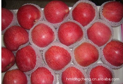 供應嘎啦蘋果 品質優良，產地直供