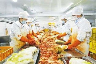 吉林農(nóng)產(chǎn)品加工業(yè)加速向“三化”發(fā)展，土特產(chǎn)迎來新機(jī)遇