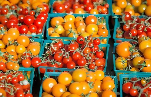 村村通冷鏈 構建土特產產銷一體化生態集群，激活產業鏈新動能